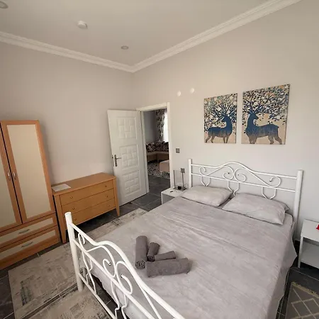 Tiny Müstakil Havuzlu Ev *