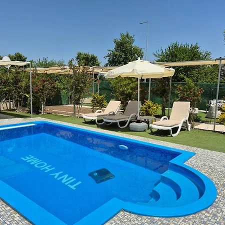 Tiny Muestakil Havuzlu Ev